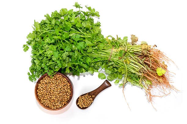 تصویر 2 از خرید و قیمت تخم گشنیز اعلا + فروش صادراتی